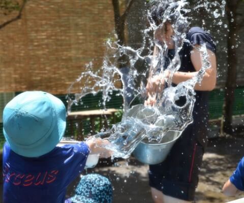写真：日常の様子
